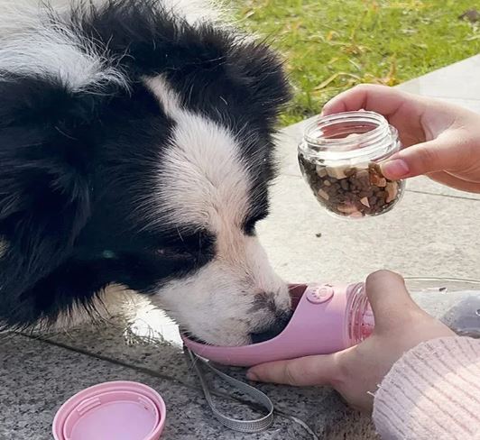 Portable Pet Water Cup & Food Dispenser